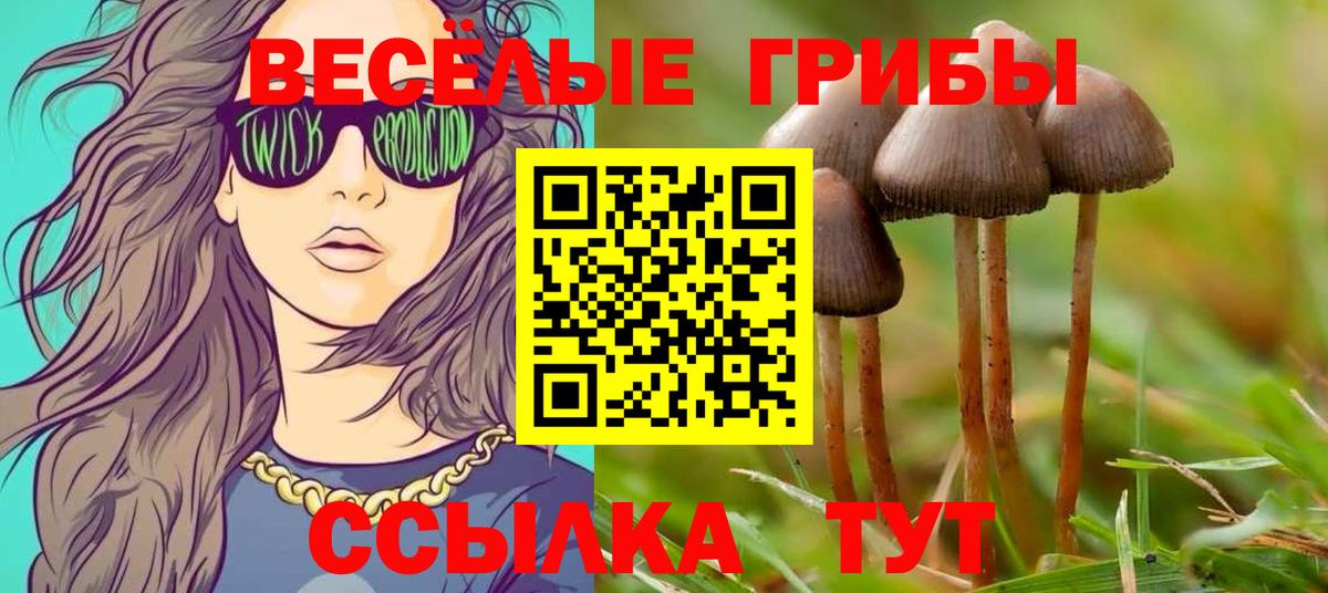 Кунгур  Псилоцибиновые грибы Psilocybe  Вход с VPN  Псилоцибиновые грибы MAGIC MUSHROOMS 